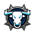 Bulltrue