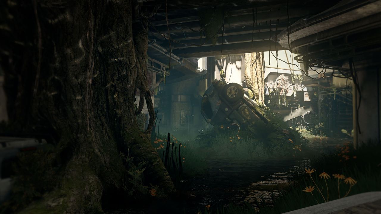 Overgrowth